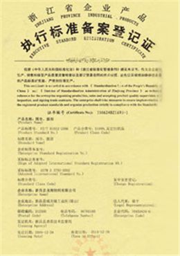 龍翔執(zhí)行標(biāo)準(zhǔn)登記證