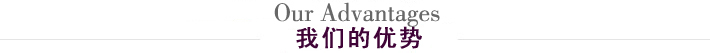 我們的優(yōu)勢.jpg